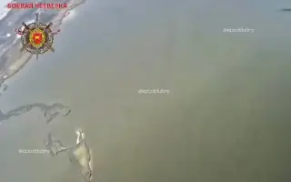 Video still from the Поддубный |Z|O|V| edition post of 17 October 2026
