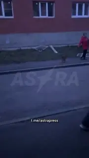 Video still from the ASTRA post of 28 October 2026
