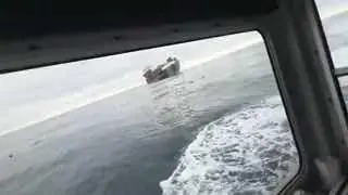 Video still from the ANNA NEWS post of 30 October 2026