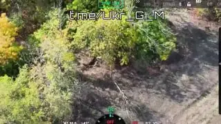 Video still from the U_G_M post of 20 October 2026