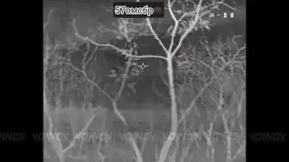 Video still from the Воин DV post of 31 October 2026