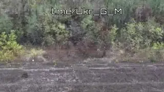 Video still from the U_G_M post of 27 October 2026