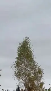 Video still from the UAV Development (UAVDEV) post of 17 October 2026