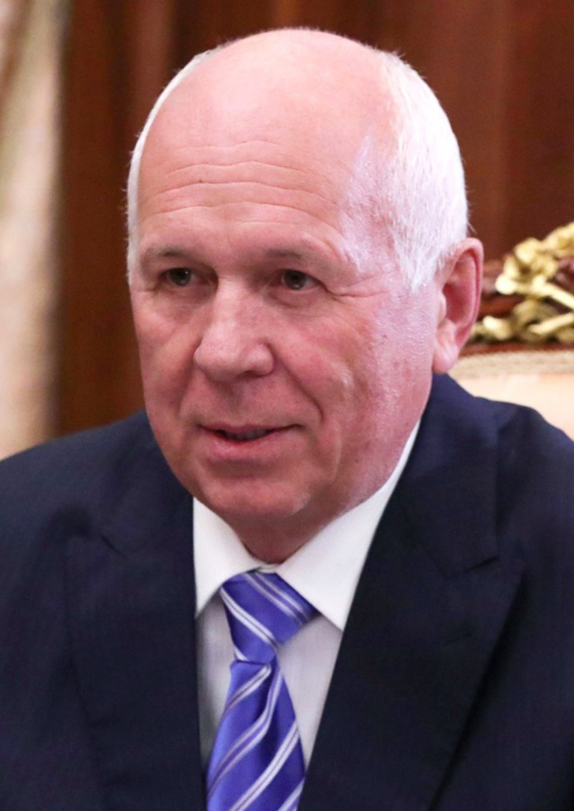 Portrait of Sergey Chemezov